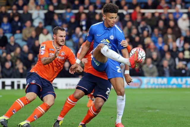 Can Lee Angol step into Conor Washington's boots?