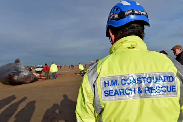 An autopsy takes place on one of the stranded whales in Skegness, Lincs.  Three dead sperm whales washed up on a beach in Lincolnshire are believed to be from the same pod as a whale that died at Hunstanton.  HM Coastguard said two of the whales were found on a beach near Skegness at about 20:30 GMT on Saturday, while a third was discovered on Sunday morning.  The Cetacean Strandings Investigation Programme will examine the bodies.  The pod was spotted off the Norfolk coast on Friday before the Hunstanton whale became stranded and died.