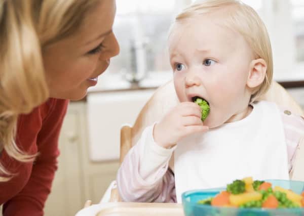A generic pic of a child eating healthily. ENGNNL00420111210100947