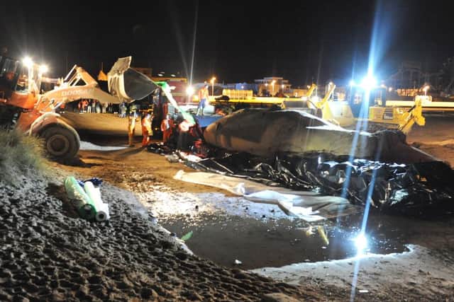 Whale carcasses being removed from Skegness beach.