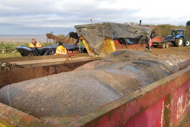 Whale in the skip on the beach at Hunstanton ANL-160129-160412001