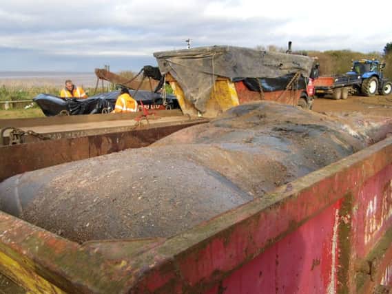Whale in the skip on the beach at Hunstanton ANL-160129-160412001