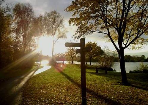 Ferry Meadows