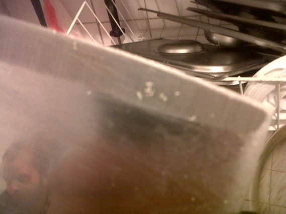 Immature maggots on blade of knife being used in the food business ANL-160802-131553001