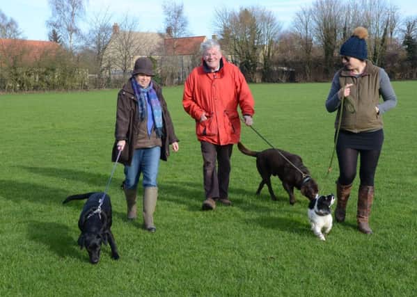 Belinda Dade, John Taylor and Kate Peach walking their dogs in a field in Castor EMN-160214-165950009