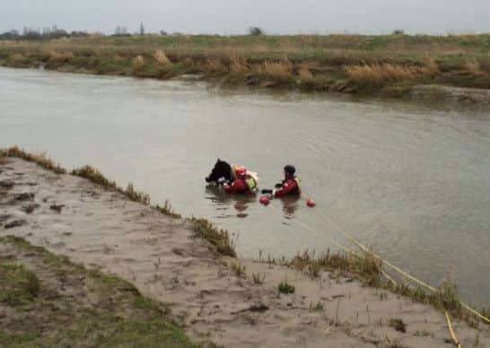 Fire crews work to rescue the pony
