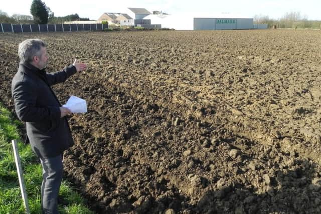 Dalton Seeds managing director Peter Fox surveys the land from Thorney Road.