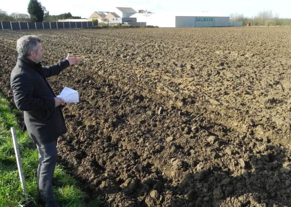 Dalton Seeds managing director Peter Fox surveys the land from Thorney Road.