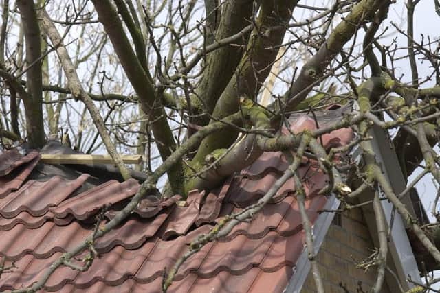 Weather warning for wind