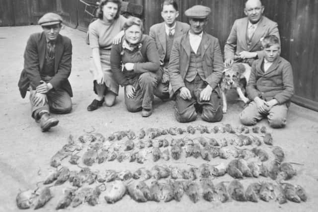 The council rat-catching team in 1942