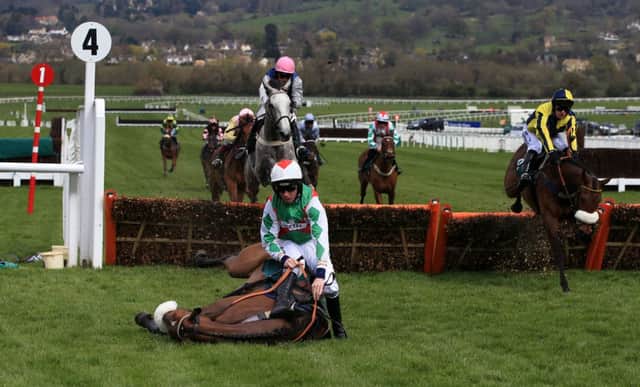 The Orgainst, ridden by jockey Leighton Aspell, falls at the final hurdle when  leading the Thoroughbred Breeders Association Mares Novices race at Cheltenham. Pam Sly's Actinpieces (the grey) finished second. Picture: Nick Potts/PA Wire