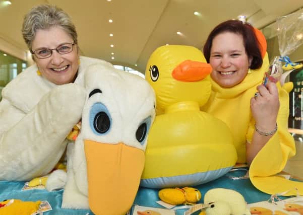 Ann Rowcliffe and Lian Faulds from the Little Yellow Duck project handing out ducks at Serpentine Green EMN-160415-145953009