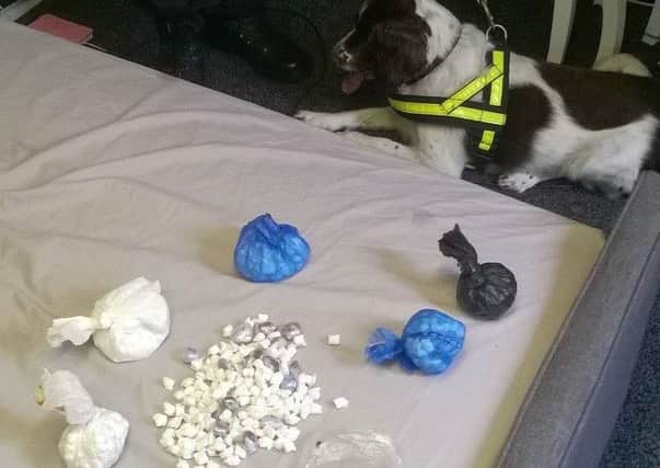 PD TJ having made the drugs find in Peterborough T9fqdMcyOKcz7fEm-98E