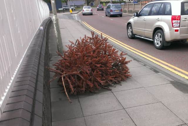 A discarded Christmas tree on Bourges Boulevard