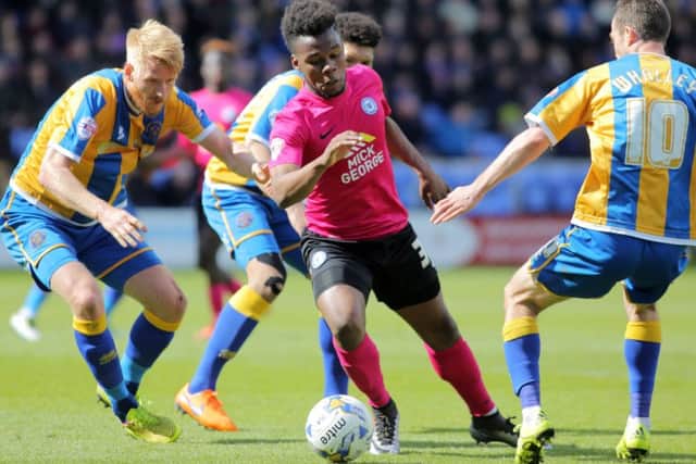Posh striker Shaquile Coulthirst is closed down by the Shrewsbury defence. Photo: Joe Dent/theposh.com.
