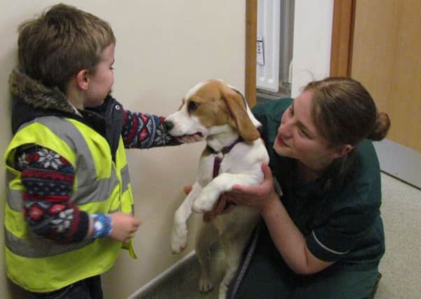 Freddie - Mansfield-Burton, Jenna Enver (Registered Veterinary Nurse) with Lacie (A 6-month-old puppy)