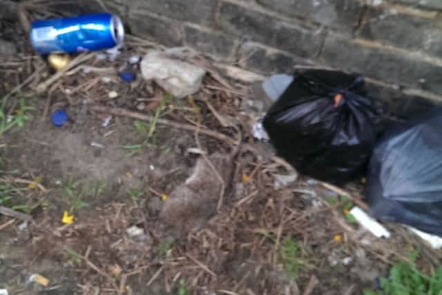 A dead rat in Eastfield