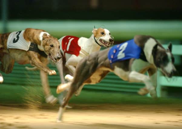 Big-time greyhound racing returned to Peterborough last night.
