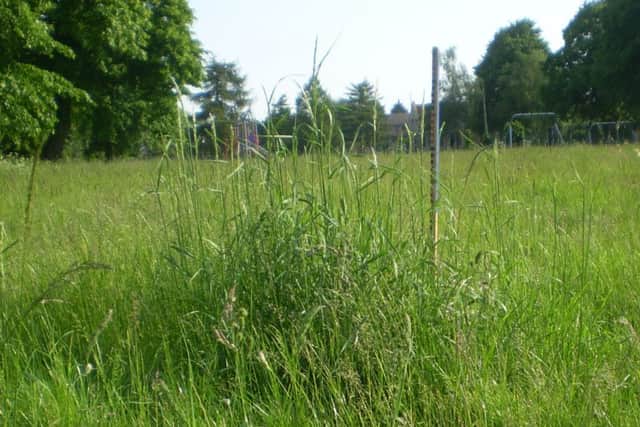 Long grass at Fletton Regreaction Ground pictured by PT reader Peter Slinger