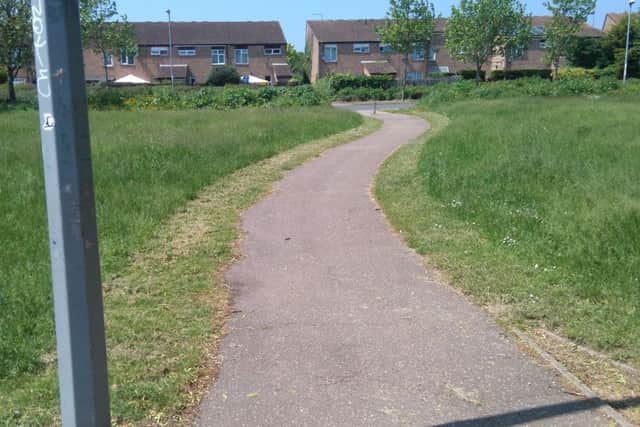 Peterborough Telegraph reader Dermot O'Shea sent us images of long grass in the Wheatdole, Paynells and Howland areas of Orton Goldhay, Peterborough.
