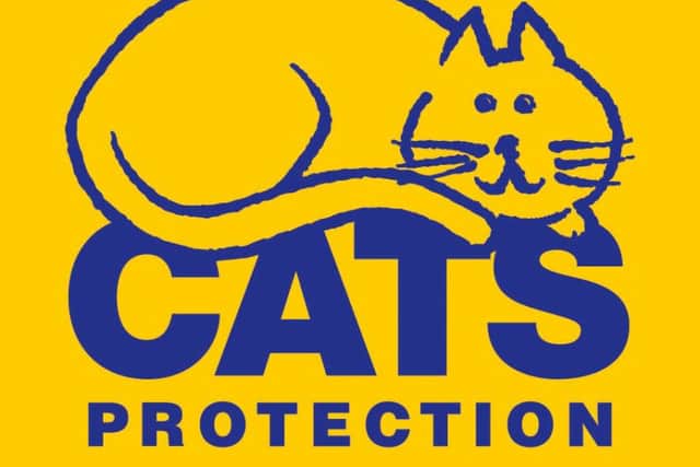 Cats Protection