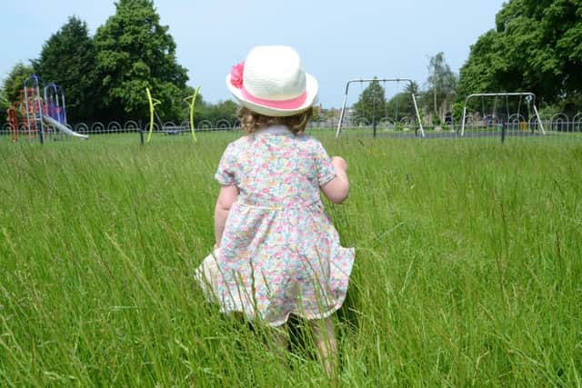 The long grass at the Fletton Ave recreation ground EMN-160806-141035009