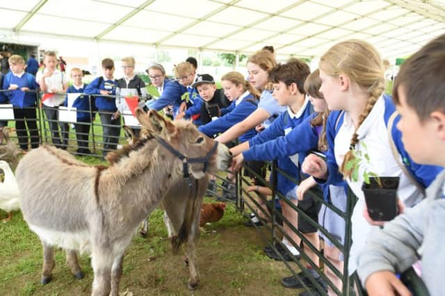 Kids Country annual Food and Farming Day at East of England Showground.
Pupils from Oakdale primary school meeting the donkey EMN-160407-225717009