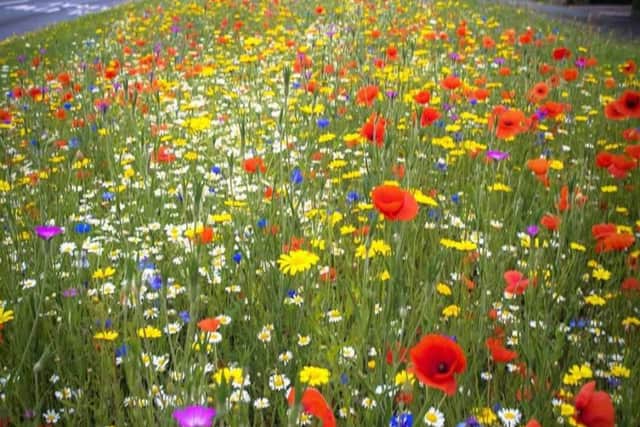 An example of the flowers in Wrexham 3DdEDr9UDe8GTM1pxzPK
