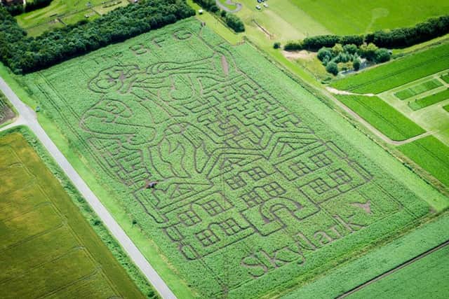 The giant image of the Big Friendly Giant (BFG) in a maize maze in March.