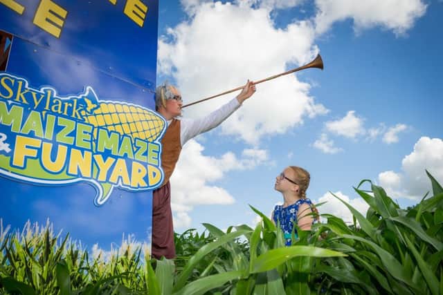 Alfie Cook dressed as the BFG with Lucy Gowler, 11 at a maize maze in March