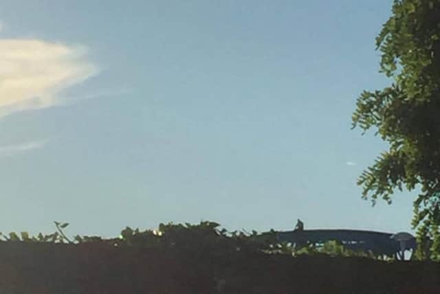 The man on top of Crescent Bridge - Photo: Daniel Forest Neal