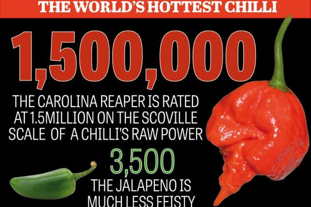 How does the Carolina Reaper chilli compare to others?