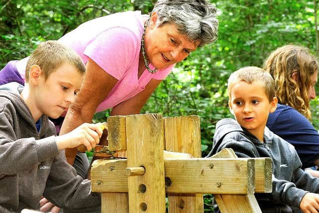 FREE summer holiday fun for the whole family in Peterboroughs ancient woodlands