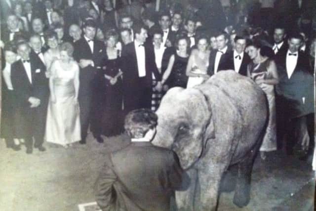 The elephant in the room at a Peterborough Press Ball.