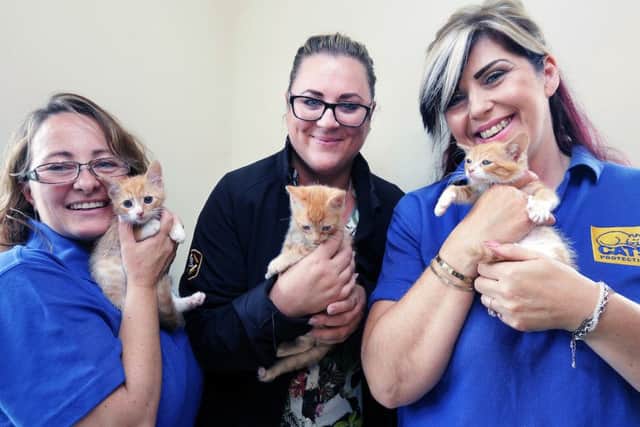 Three 8 week old sister kittens with Maria Milford (CP), Mel Hobson (Amazon) ands Sheridan Gaunt (CP.) Photo: © Tim George/ UNP