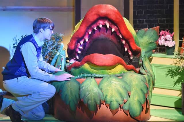 Little shop of Horrors at Key Theatre by KYT EMN-160824-224305009