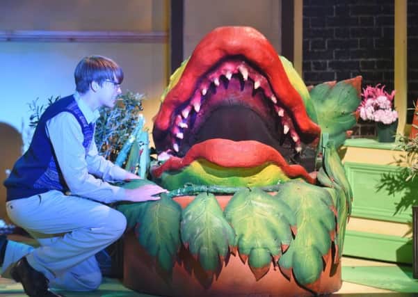 Little shop of Horrors at Key Theatre by KYT EMN-160824-224305009