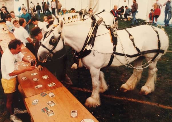 Horsing around at the 1994 beer festival