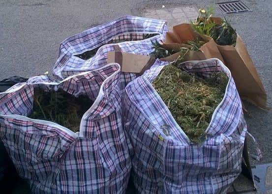 Bags of cannabis recovered in Wisbech luDvYcX0vhzEvC0-UKiK