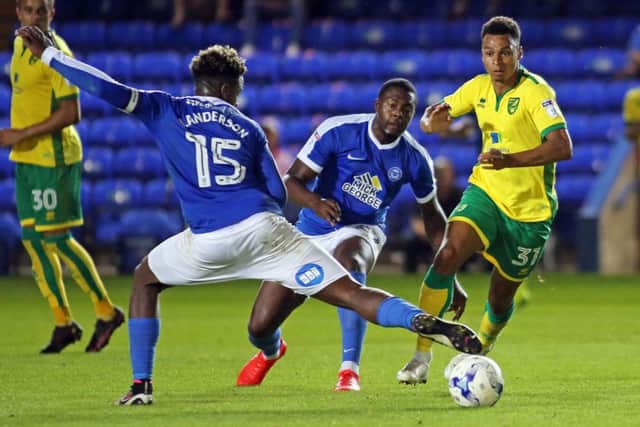 Jermaine Anderson (15) tries to stop Norwich City's Josh Murphy. Photo: Joe Dent/theposh.com.