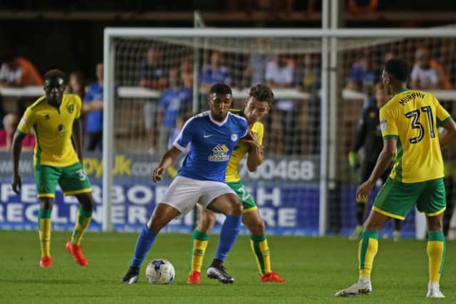 Teenage Posh striker Deon Moore has a big fan in manager Grant McCann. Photo: Joe Dent/theposh.com.