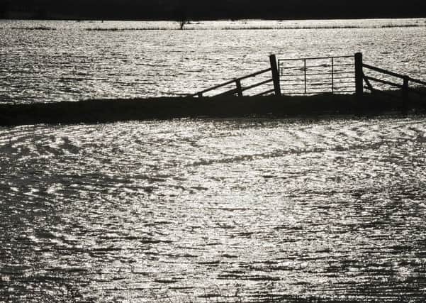 A flooded Whittlesey Wash makes for dramatic silhouette pictures ENGEMN00120140802165421
