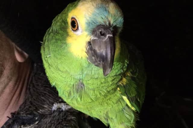 This passenger was not ruffled after being involved in an RTC on the A14