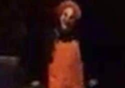 'Reports of 'Killer Clowns' have come in from across the country. Pictures via SWNS. NNL-161010-123713001