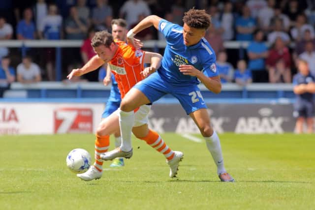Striker Lee Angol should be back in the Posh squad for the FA Cup tie with Chesham. Photo: Joe Dent/theposh.com.