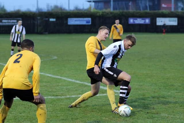 Jake Sansby (stripes) on the ball for Peterborough Northern Star at Harborough. Photo: Tim Gates.