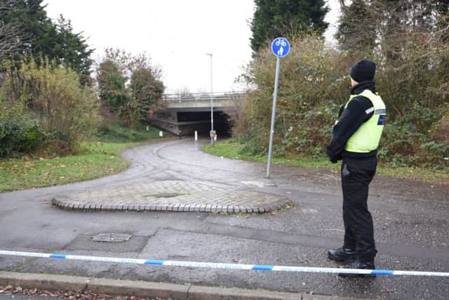 Police have cordoned off the underpass following the sexual assault on Friday