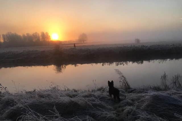 Lucy Stretton's 'a puppy's first walk'