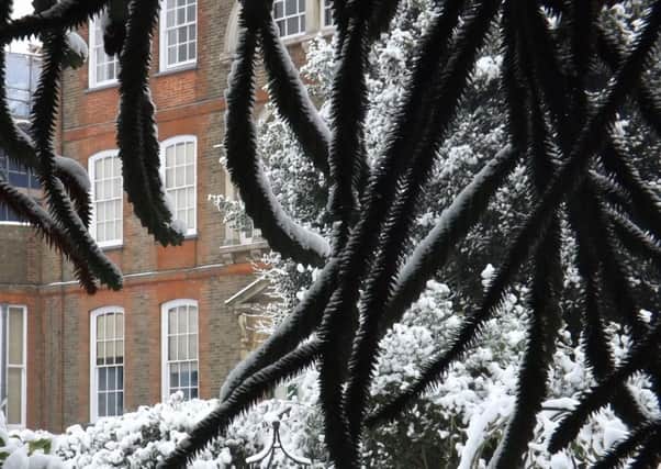 Peckover House in winter.