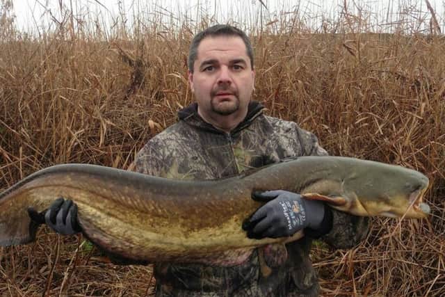 If you are after a catfish then Float Fish Farm could be worth a try. Fishery regular Simon Irons caught this fine specimen from the Sands Pool.